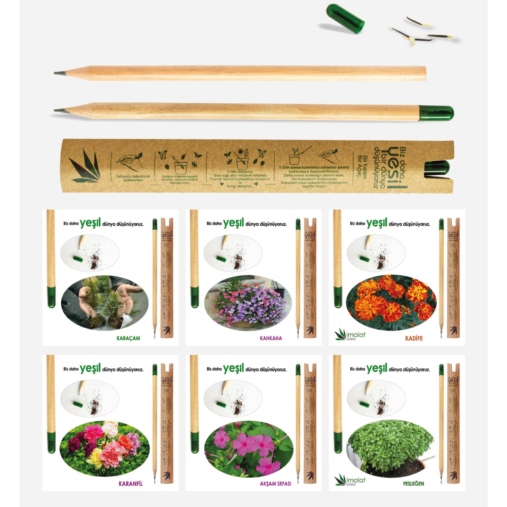 Kurşun Kalem - Tohumlu